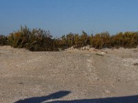 11-12-11-Assateague-2463