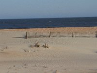 11-12-11-Assateague-2474