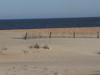 11-12-11-Assateague-2475