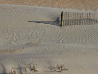 11-12-11-Assateague-2477
