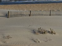 11-12-11-Assateague-2479