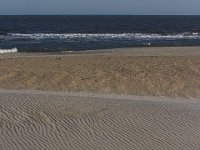11-12-11-Assateague-2480