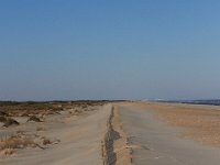 11-12-11-Assateague-2482