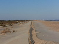 11-12-11-Assateague-2484