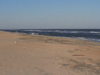 11-12-11-Assateague-2489