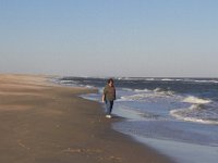 11-12-11-Assateague-2507