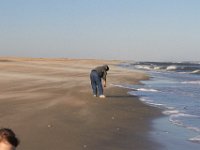 11-12-11-Assateague-2508