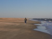 11-12-11-Assateague-2515