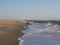 11-12-11-Assateague-2518