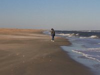 11-12-11-Assateague-2522