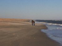 11-12-11-Assateague-2523