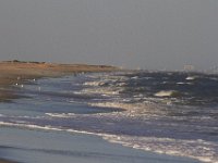 11-12-11-Assateague-2539