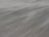 11-12-11-Assateague-2553