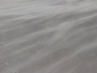 11-12-11-Assateague-2554