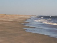 11-12-11-Assateague-2556