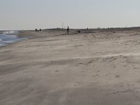 11-12-11-Assateague-2563