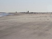 11-12-11-Assateague-2567