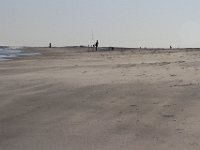 11-12-11-Assateague-2568