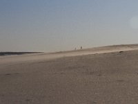 11-12-11-Assateague-2574