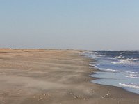 11-12-11-Assateague-2579
