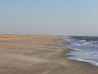 11-12-11-Assateague-2581