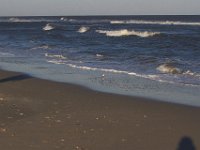 11-12-11-Assateague-2601
