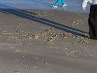 11-12-11-Assateague-2608