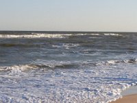 11-12-11-Assateague-2615