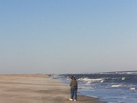 11-12-11-Assateague-2627