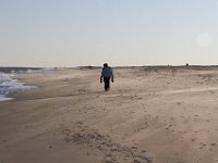 11-12-11-Assateague-2633