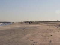 11-12-11-Assateague-2661