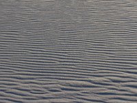 11-12-11-Assateague-2663