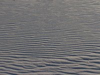 11-12-11-Assateague-2664