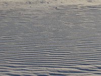 11-12-11-Assateague-2667