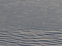 11-12-11-Assateague-2669