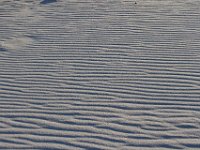 11-12-11-Assateague-2670