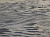 11-12-11-Assateague-2672