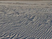 11-12-11-Assateague-2677