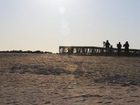 11-12-11-Assateague-2691