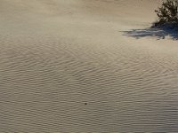 11-12-11-Assateague-2698