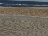 11-12-11-Assateague-2700