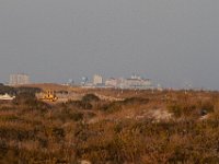 11-12-11-Assateague-2706
