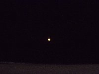 11-12-11-Assateague-2735