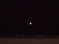 11-12-11-Assateague-2738