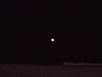 11-12-11-Assateague-2743