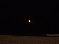 11-12-11-Assateague-2750