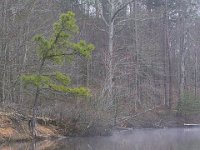 03-18-12-St Marys Lake
