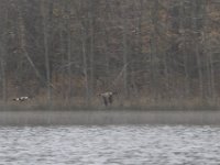 03-18-12-St Marys Lake-4049
