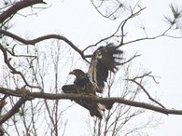 03-18-12-St Marys Lake-4106