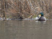 03-18-12-St Marys Lake-4133